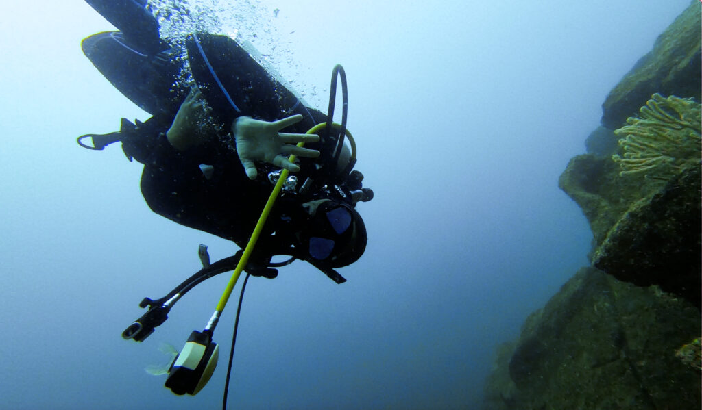scuba diving in loreto mexico